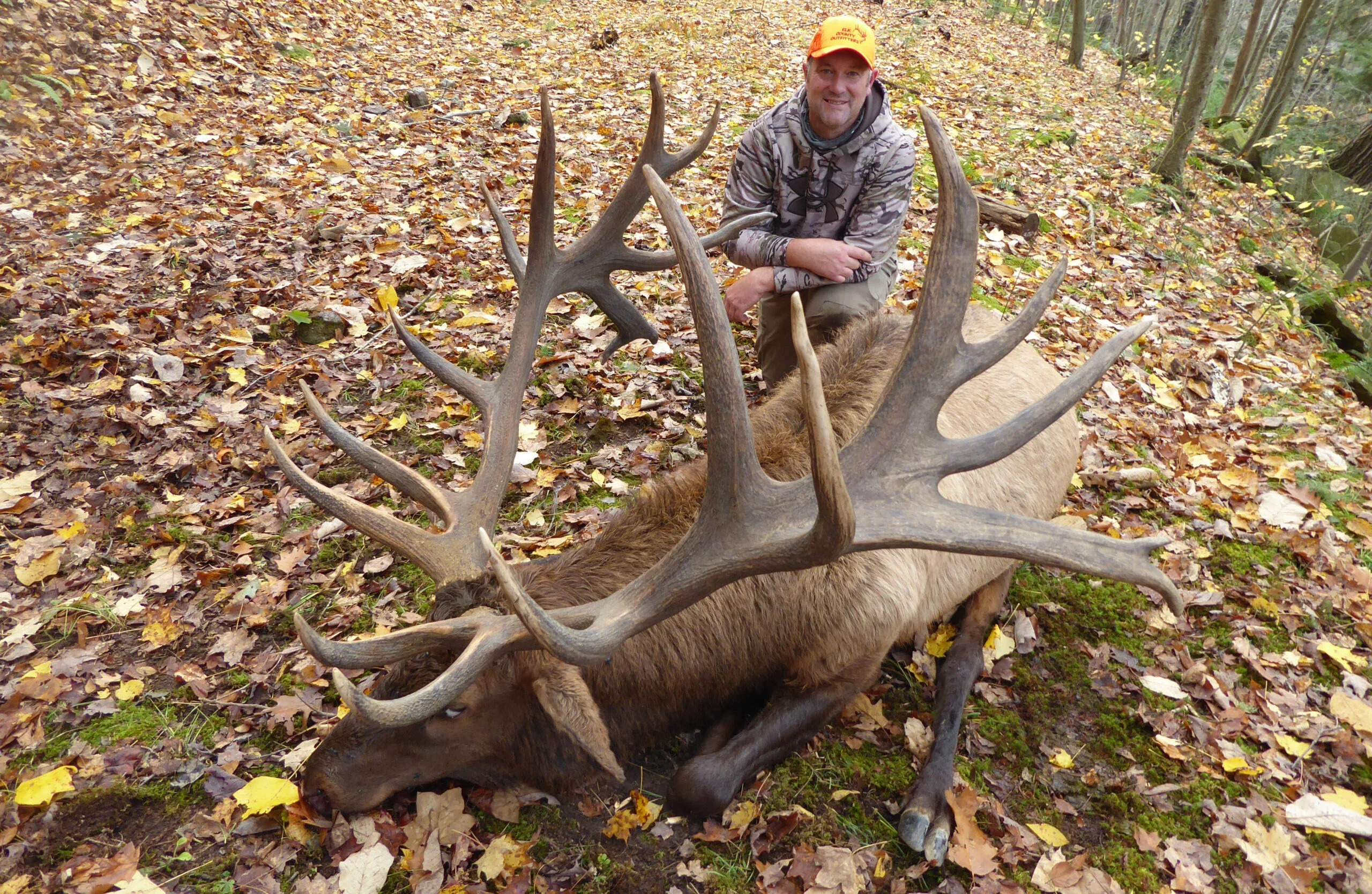 man with giant bull elk