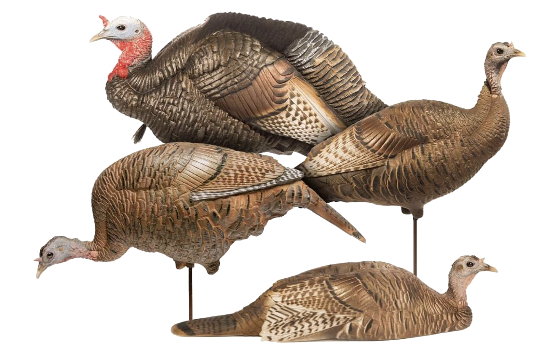 Dave Smith Turkey Flock Decoys