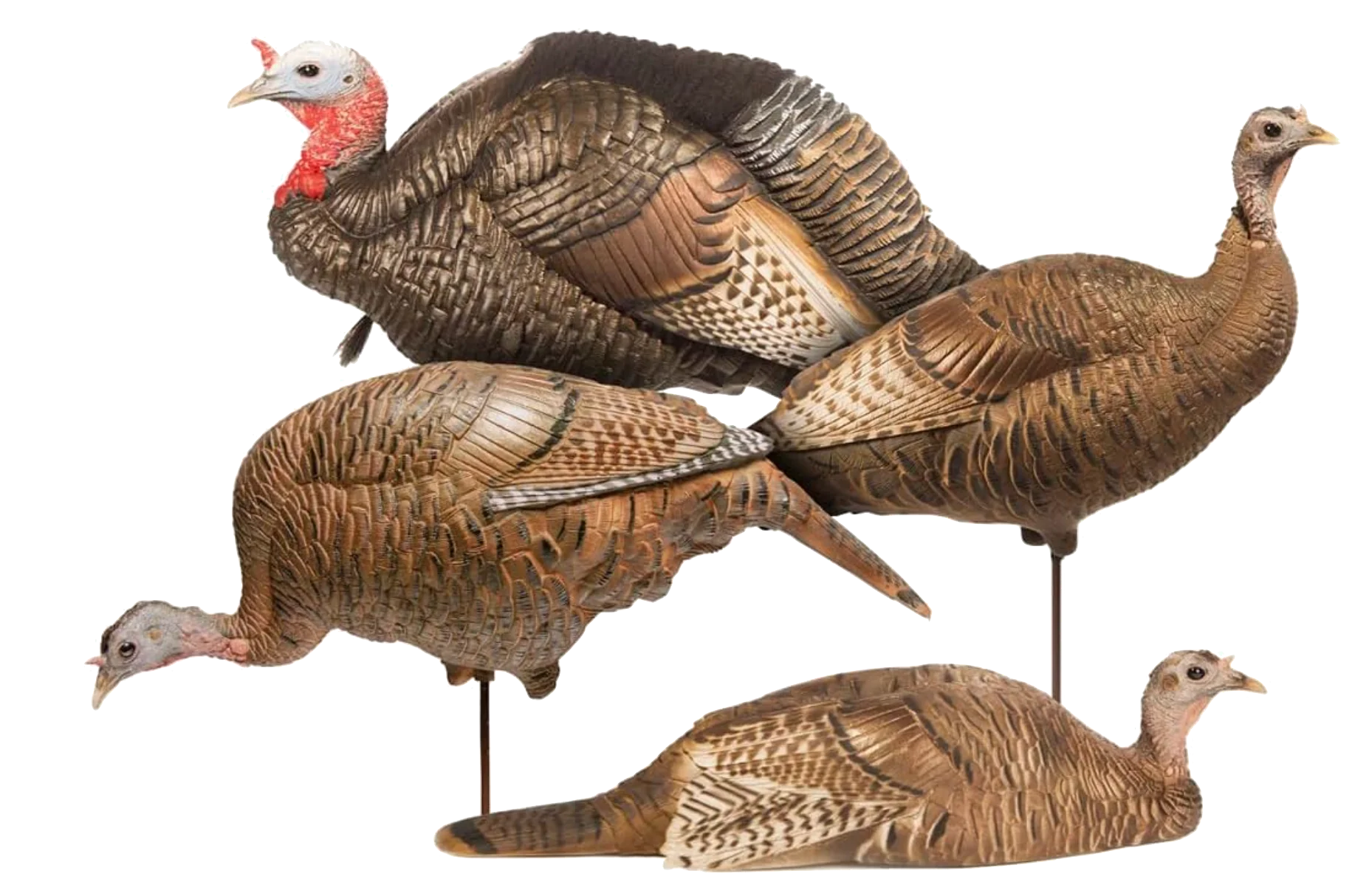 Dave Smith Turkey Flock Decoys