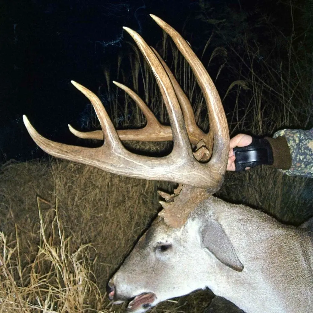 Thomas Friedleinâs 187-plus P&amp;Y state record buck