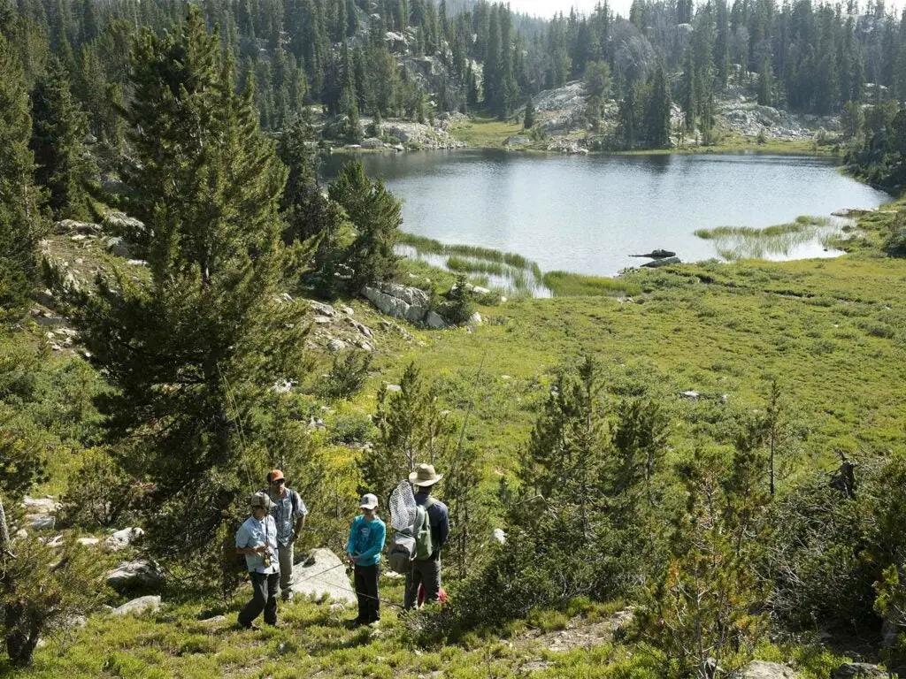 men and boys hiking outside on a game trail