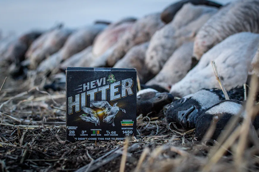 HeviShot HeviHitter box of ammo next to pile of geese