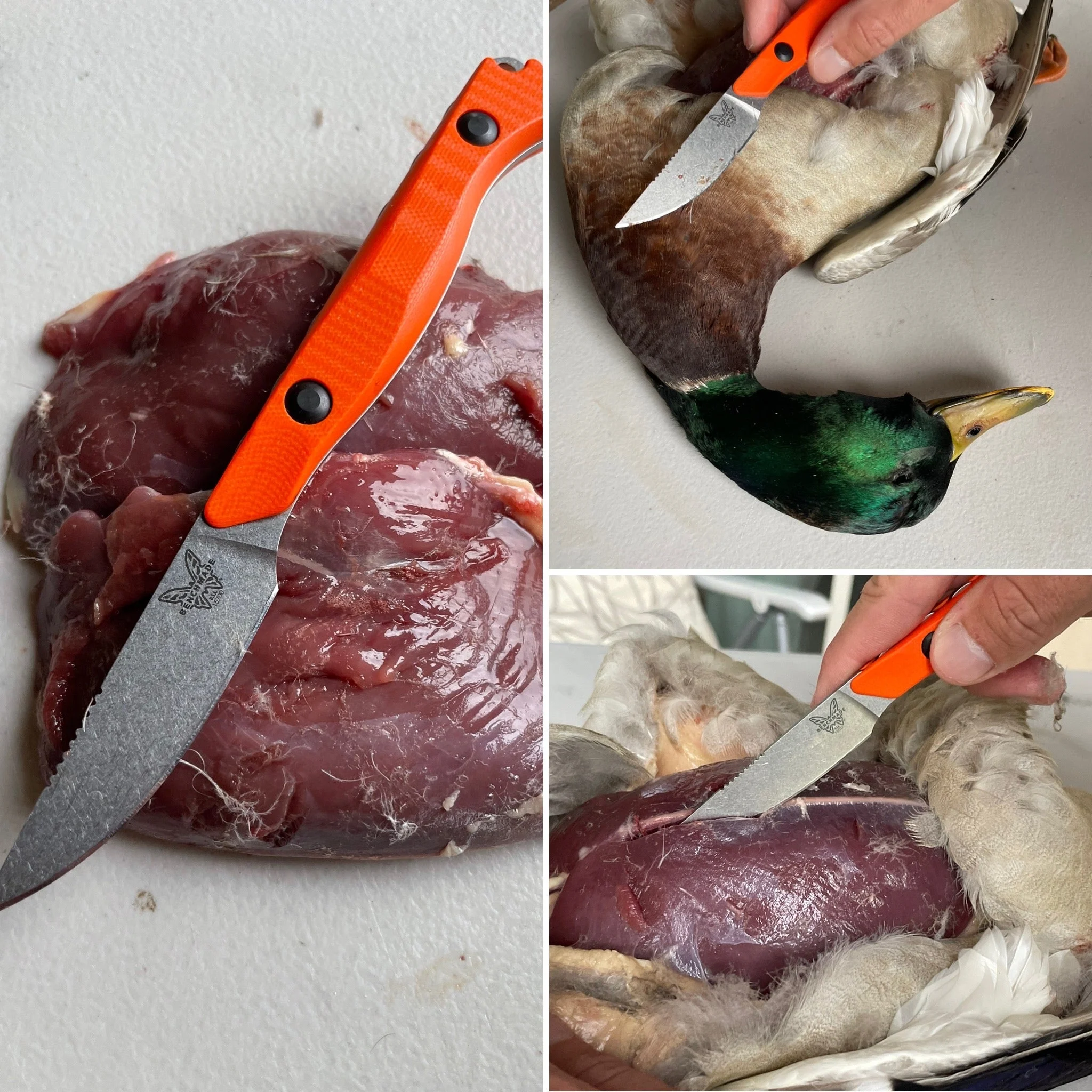 the benchmade flyway processing a duck