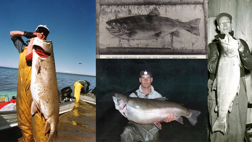 The biggest trout ever caught.