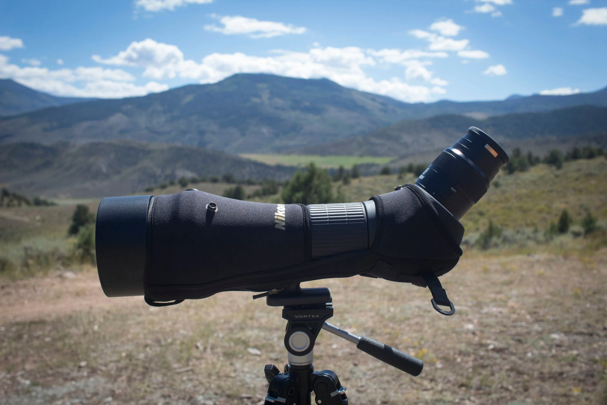 Black Bear Hunting photo