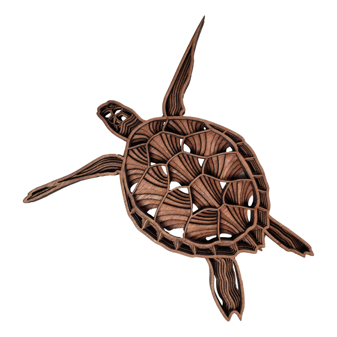 Cover Image for Sea Turtle