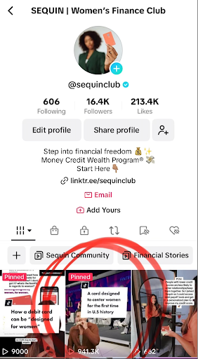 A screenshot of Sequin's Tiktok profile with a video circled in red that has 941.3K views