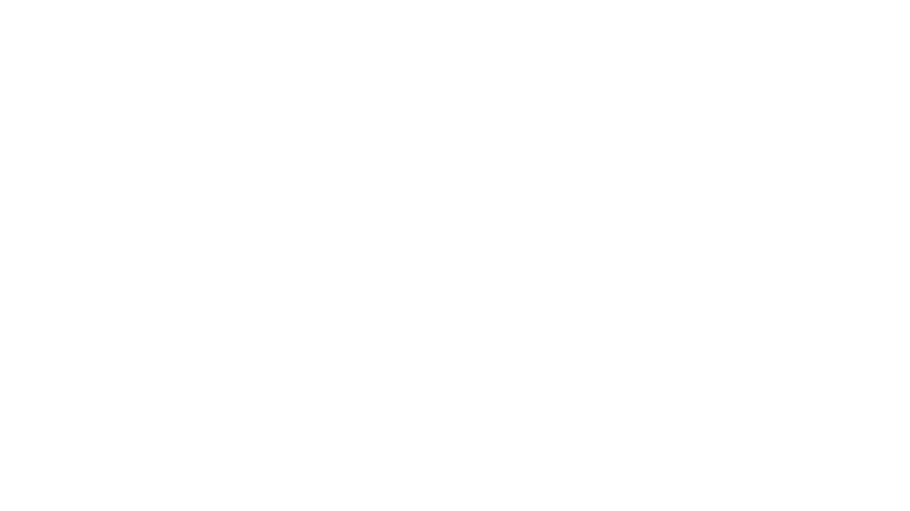 visa logo white