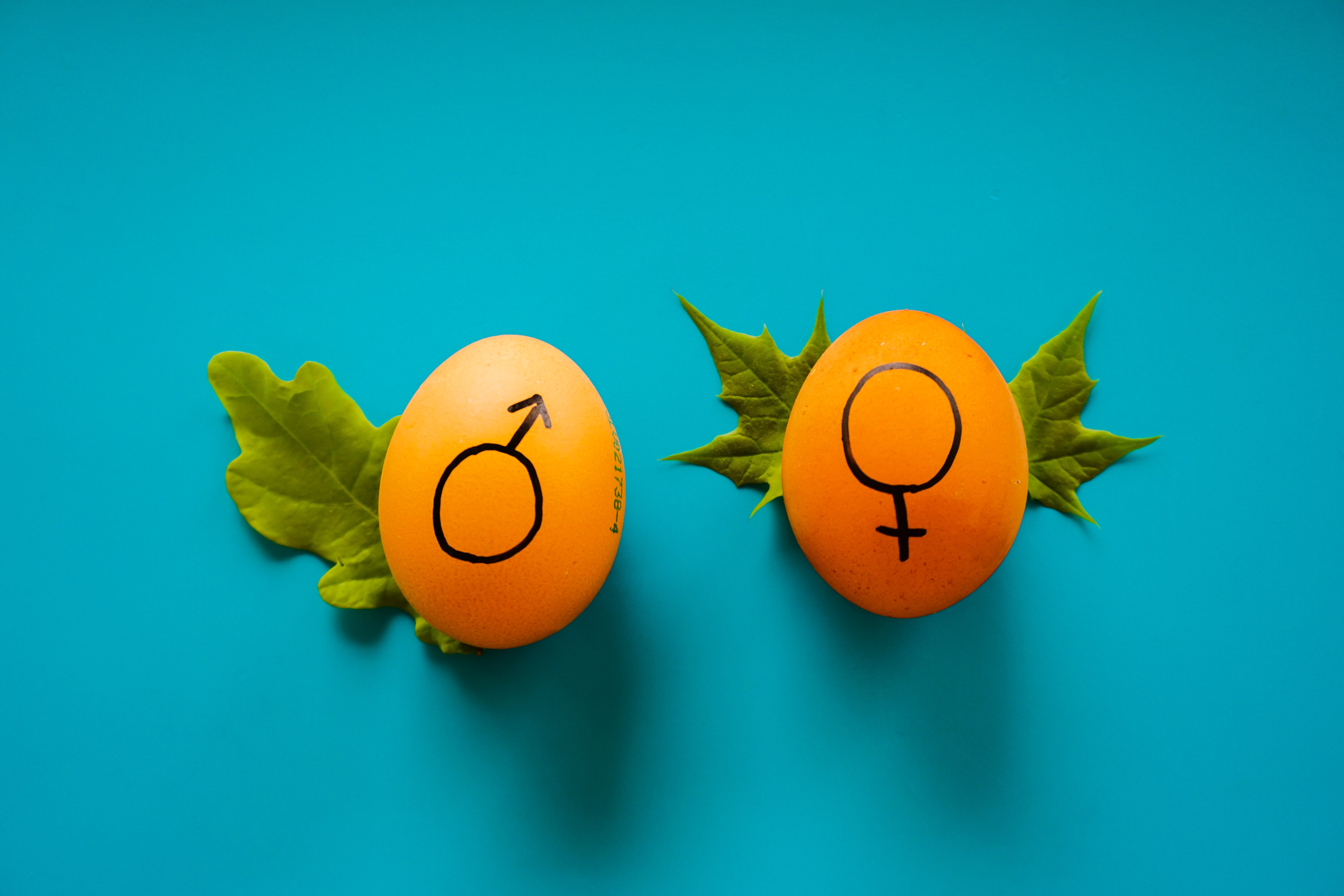 Female and male symbols written on eggs
