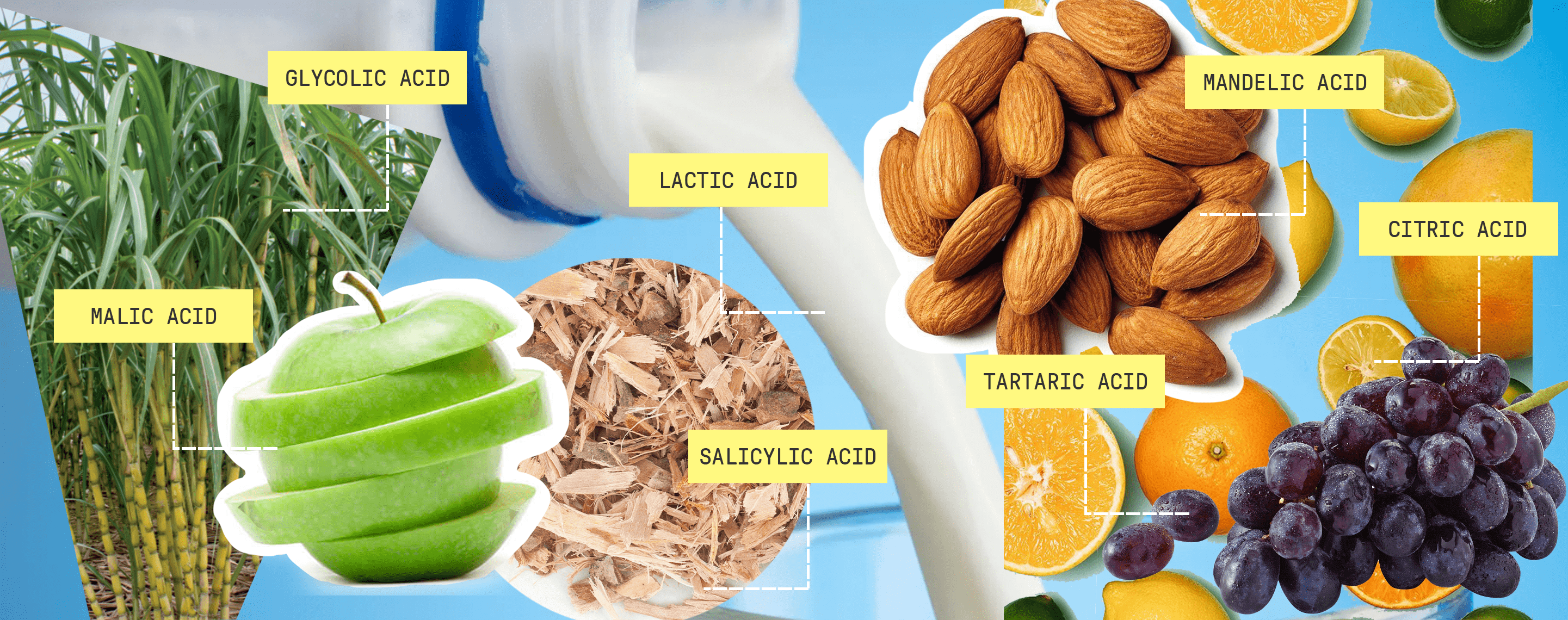 Everything You Need to Know About Exfoliating Acids Apostrophe