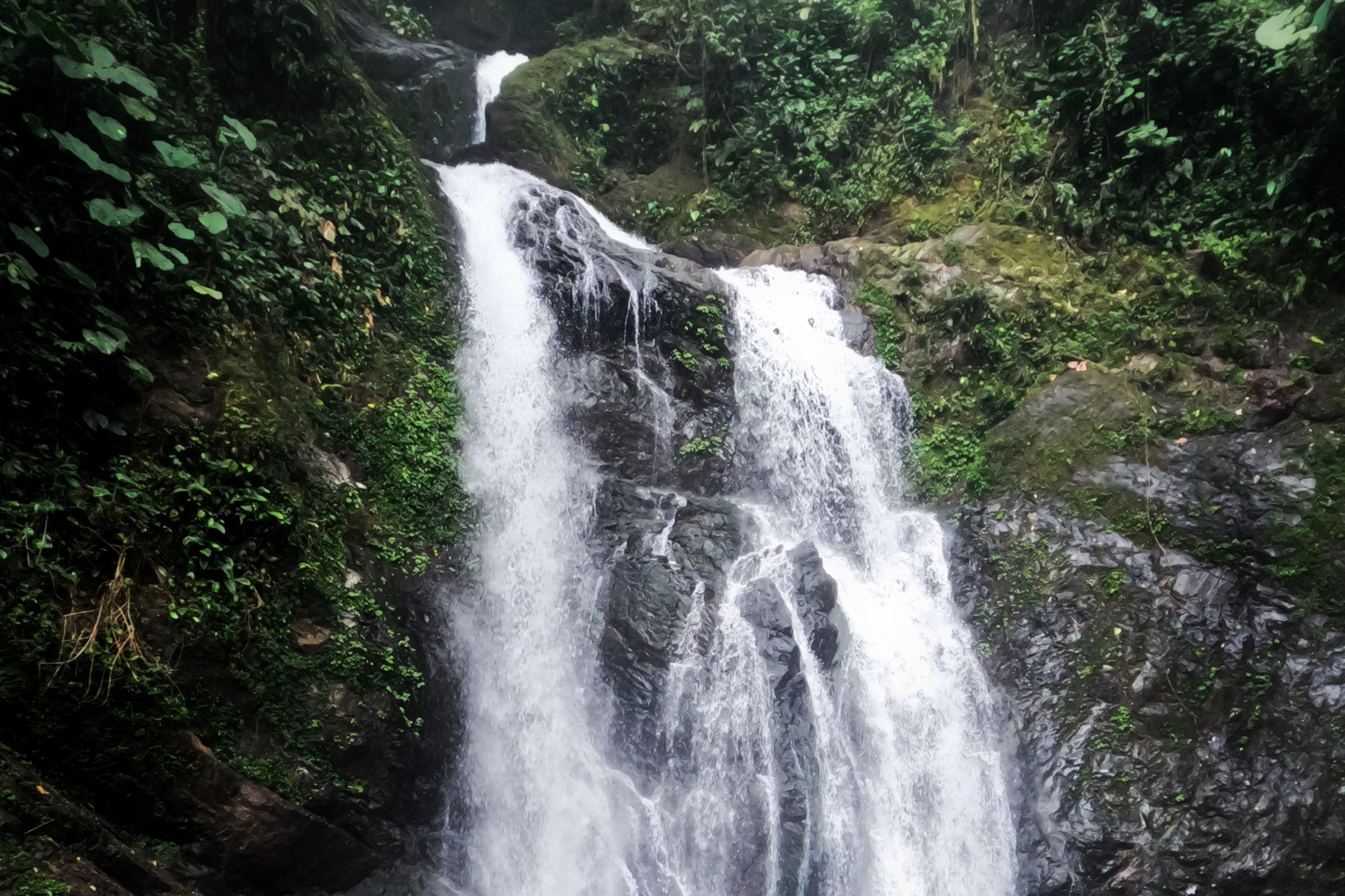 Cascada Las Gemelas en San Francisco de Pachijal. - Foto: Vanessa Garzón