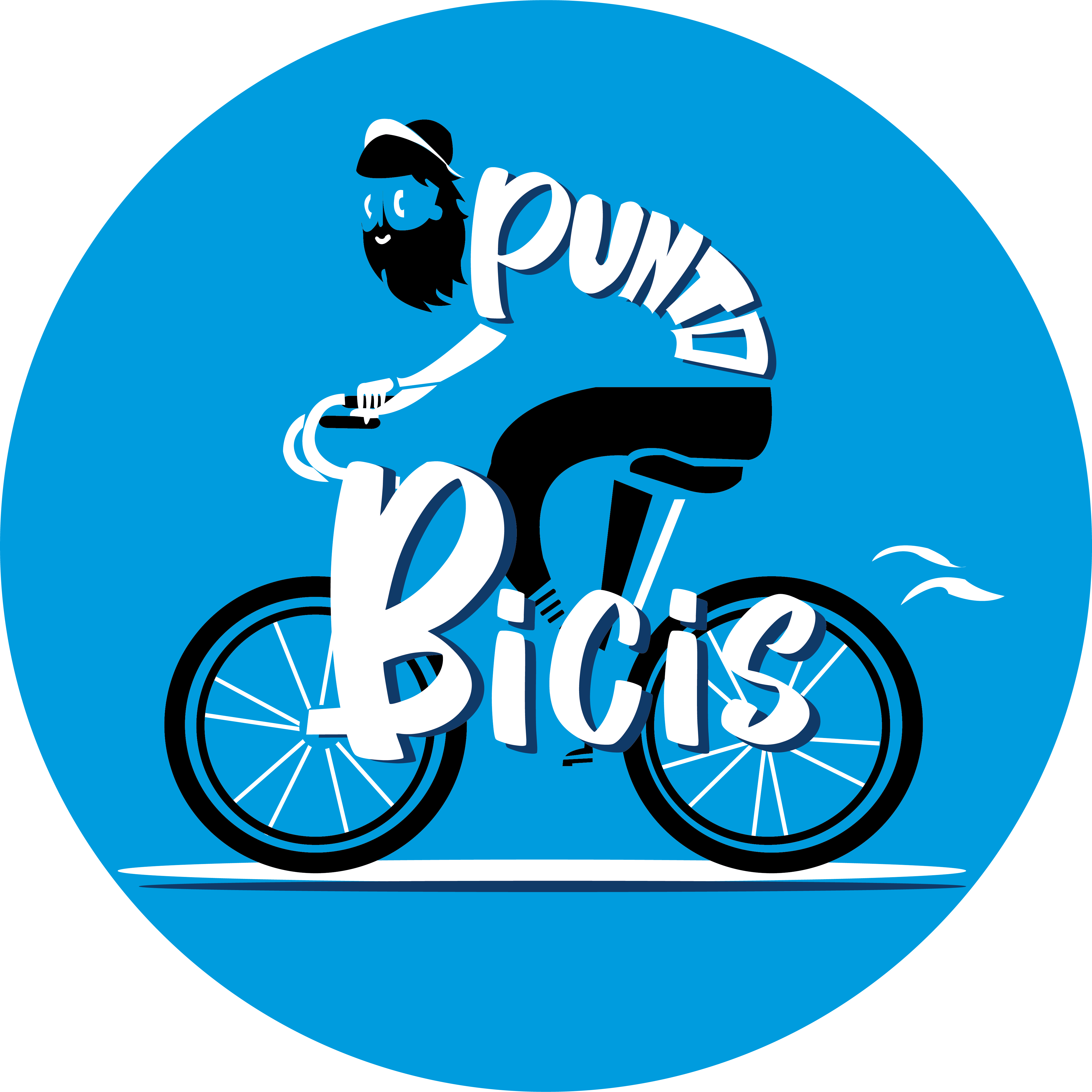 Punto Bicis