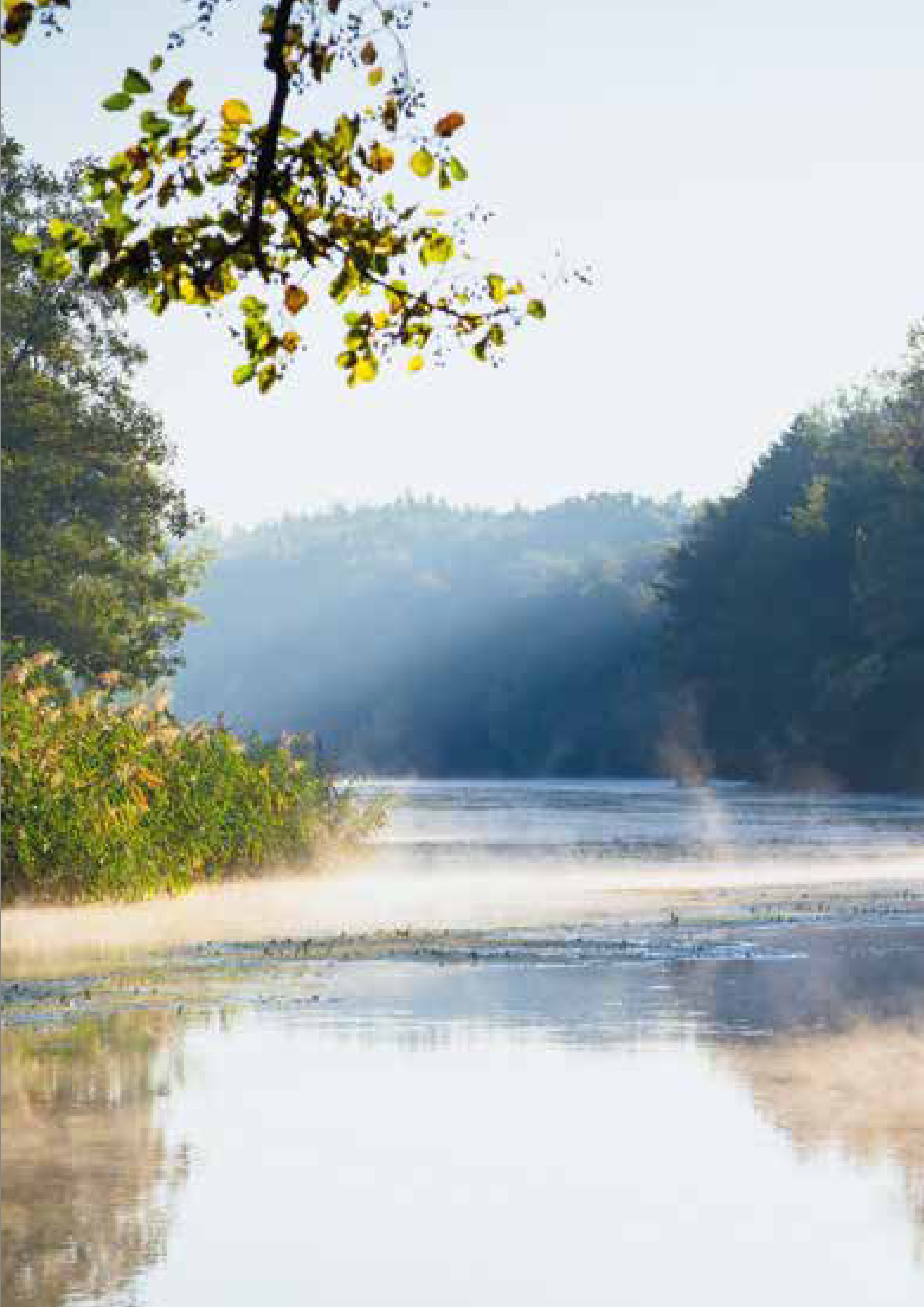 Titelbild Depression deutsch