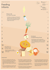 Flyer - Ernährung von Säuglingen und Kleinkindern