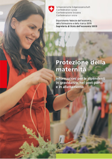 titelbild mutterschutz it