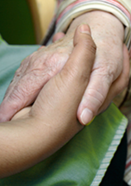 Titelbild Broschüre Pflegend begleiten. Ein Ratgeber für Angehörige und Freunde pflegebedürftiger Menschen