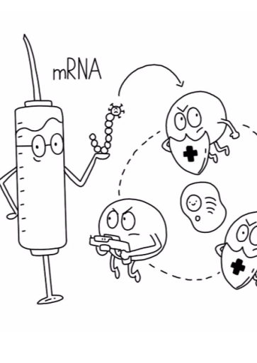 Titelbild So funktioniert ein mRNA Impfstoff deutsch