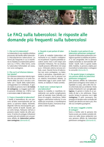 Titelbild A4 FAQ TB 10 2015 italienisch
