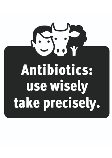 KampStAR Antibiotika Slogan e