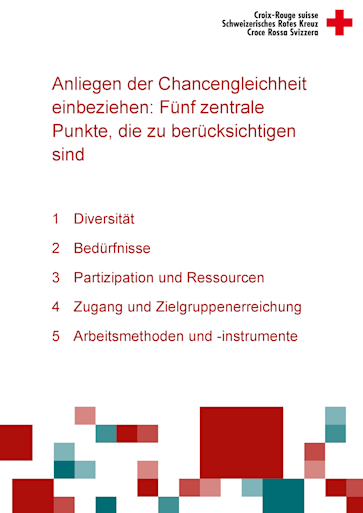 Titelbild Anliegen der Chancengleichheit einbeziehen DE