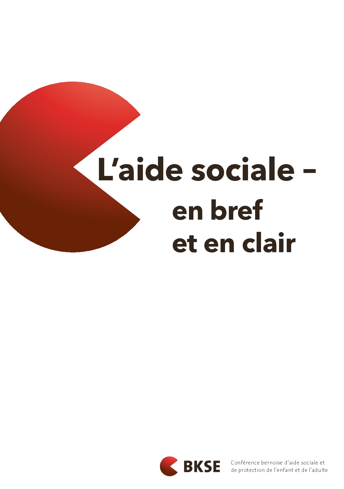 Titelbild Broschüre Sozialhilfe kurz und gut erklärt FR