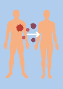 Was ist Hepatitis B?