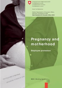 Pregnancy and motherhood - Employee protection