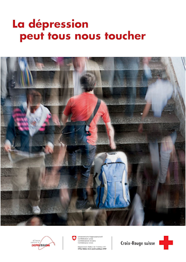 Titelbild L2378-13 Flyer Depression fr - web