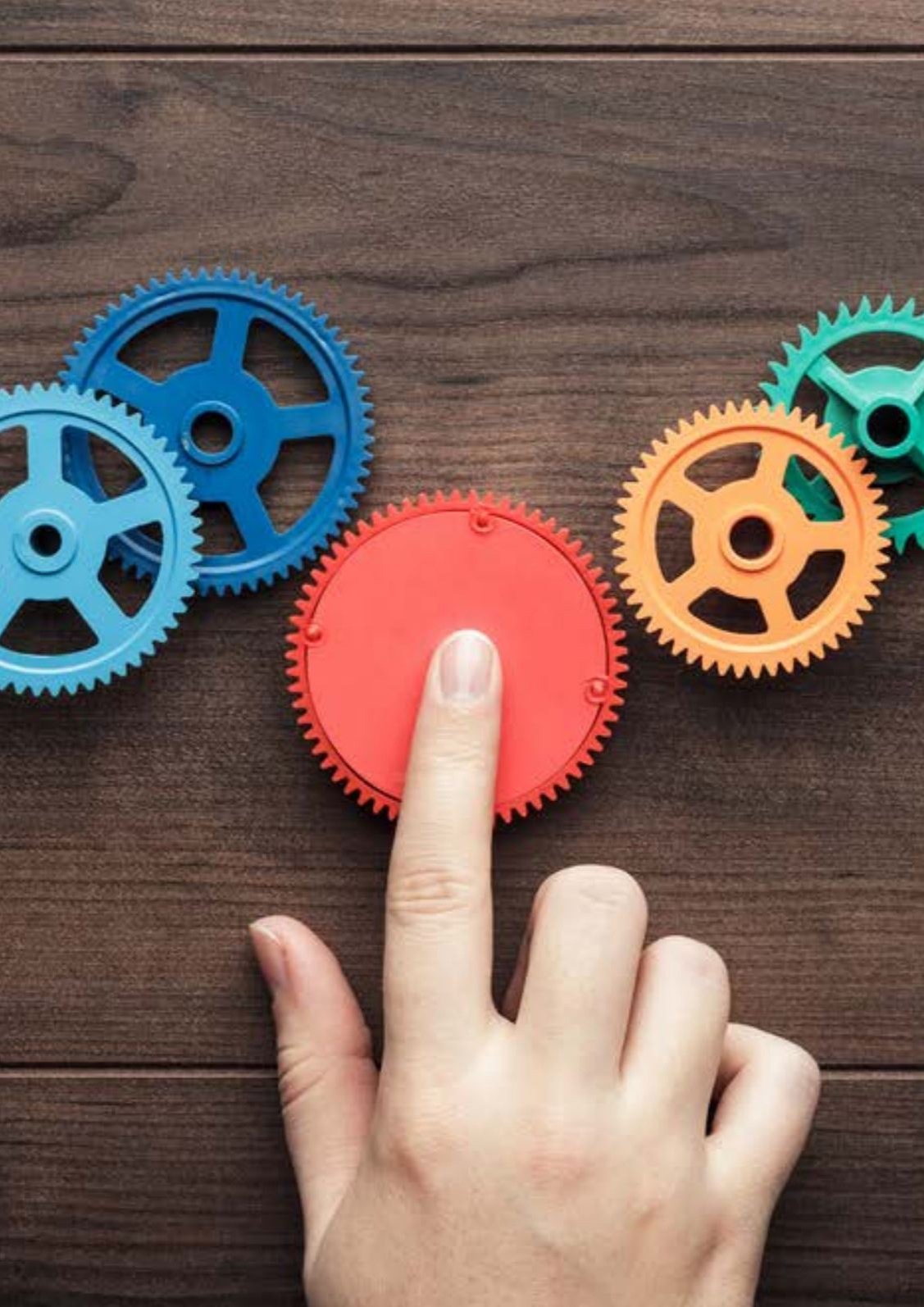 NAP Strategiepapier Nr4