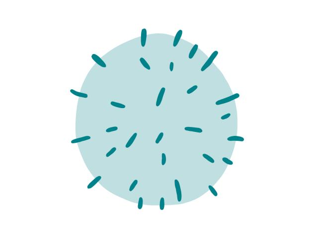 Themenbild Coronavirus
