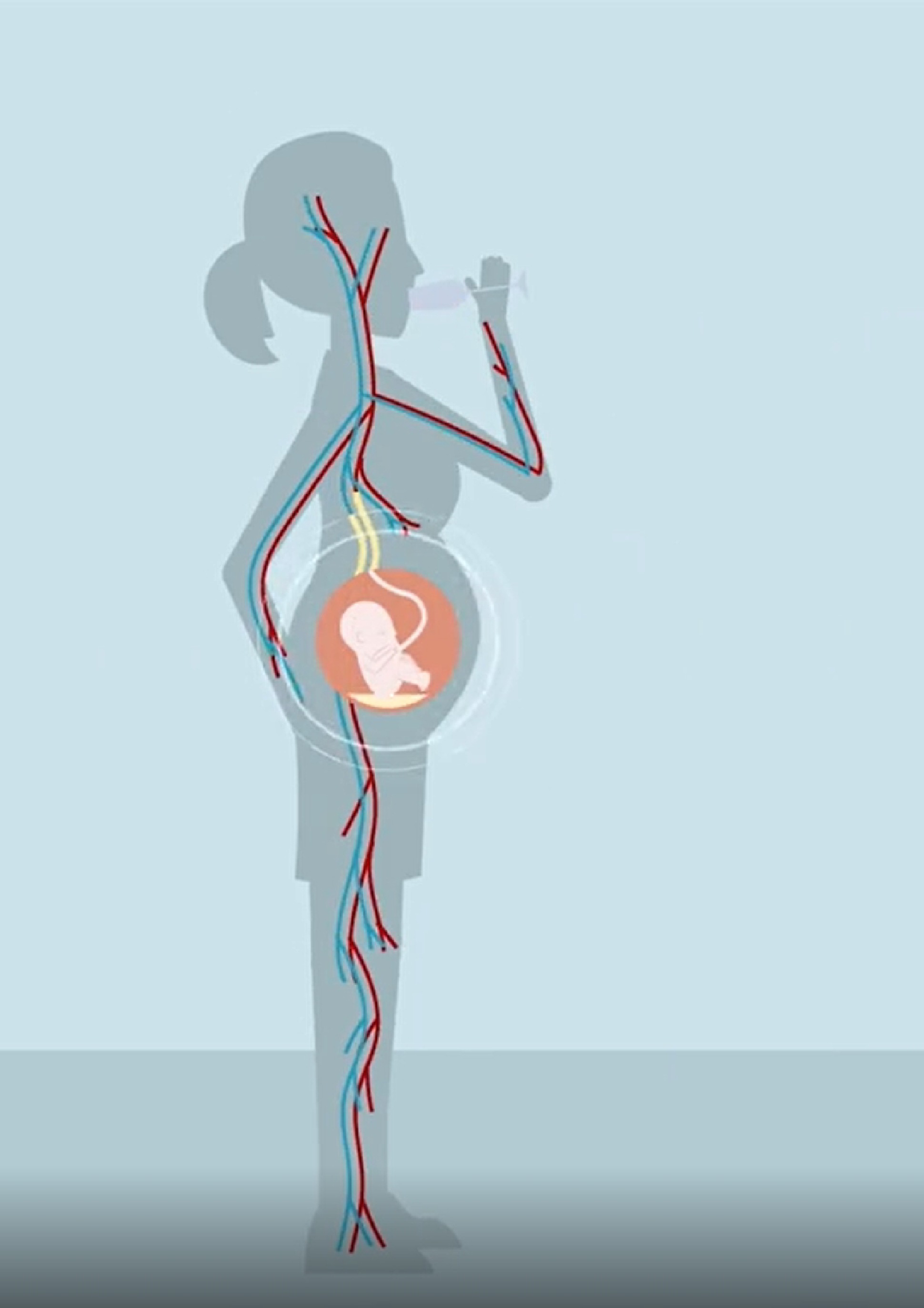 Titelbild ERKLÄRVIDEO SCHWANGERSCHAFT UND ALKOHOL