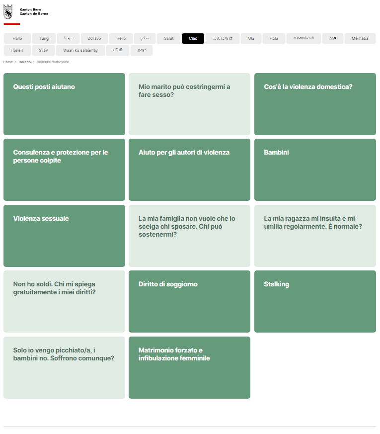 Titelbild Haeusliche Gewalt IT