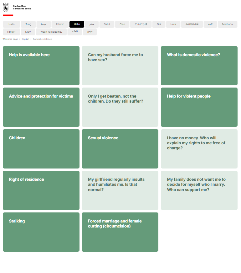 Titelbild Haeusliche Gewalt EN