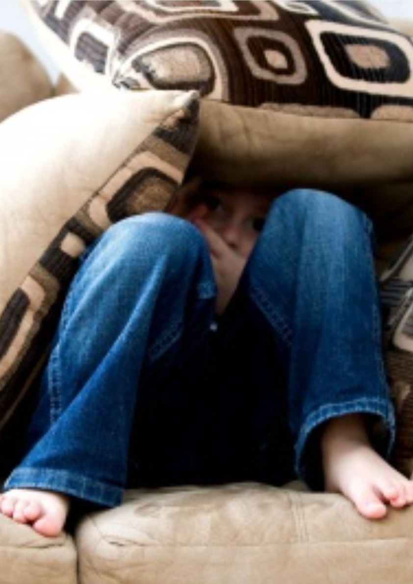 Stärkung von Kindern psychisch erkrankter Eltern - Modul I