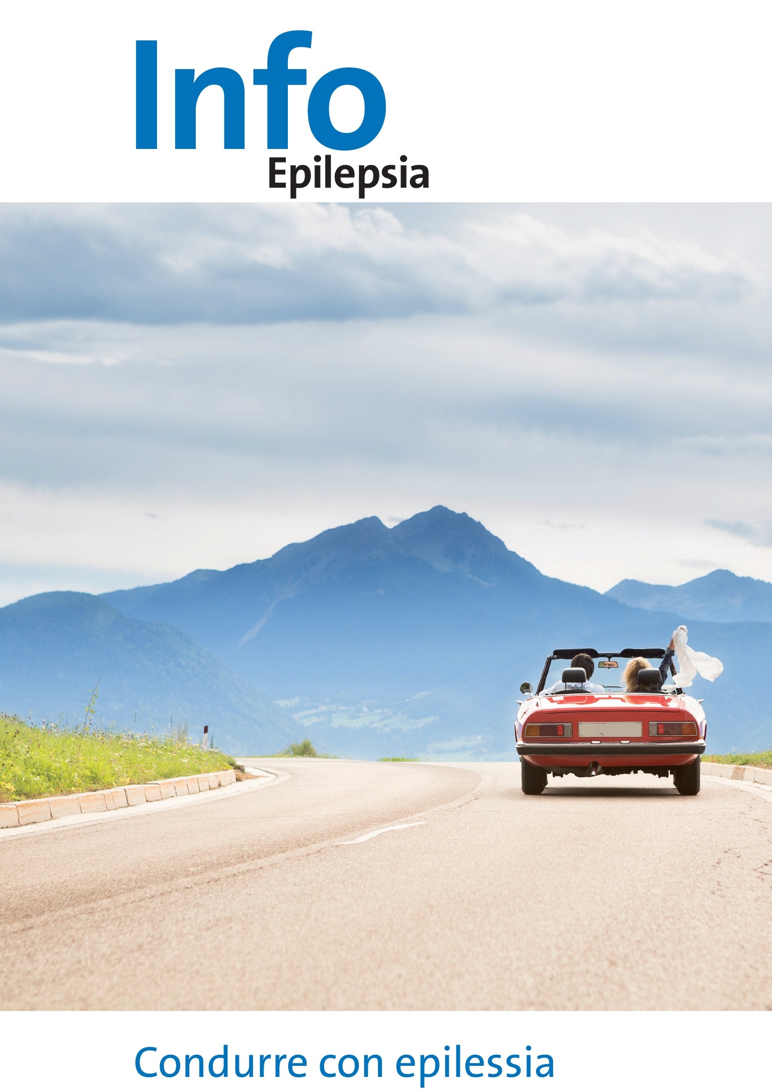 Titelbild Fahreignung und Epilepsie IT