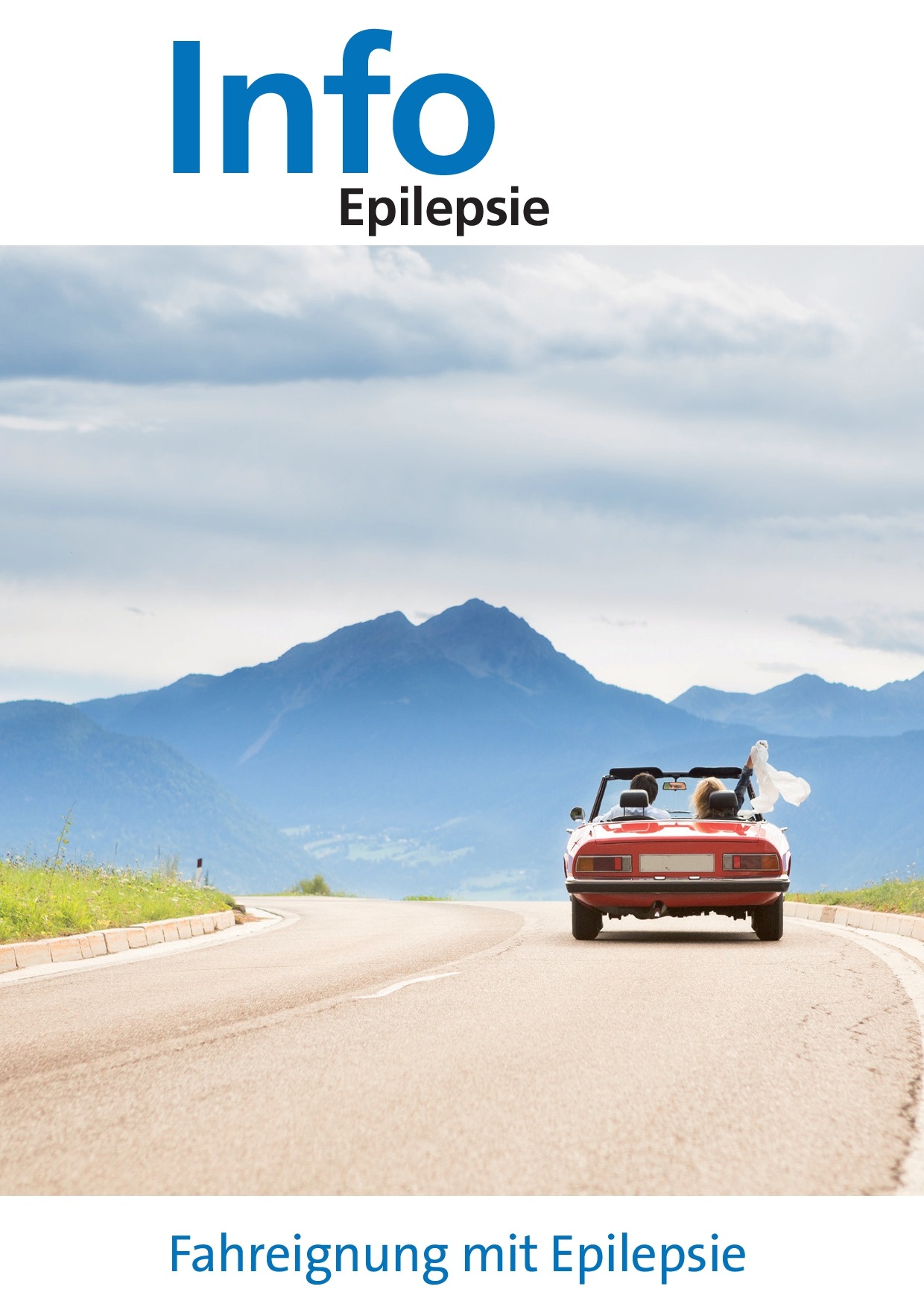 Titelbild Fahreignung und Epilepsie DE