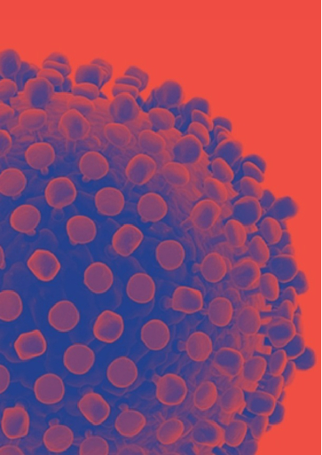 Titelbild Informationen zu Hepatitis C für Patientinnen und Patienten