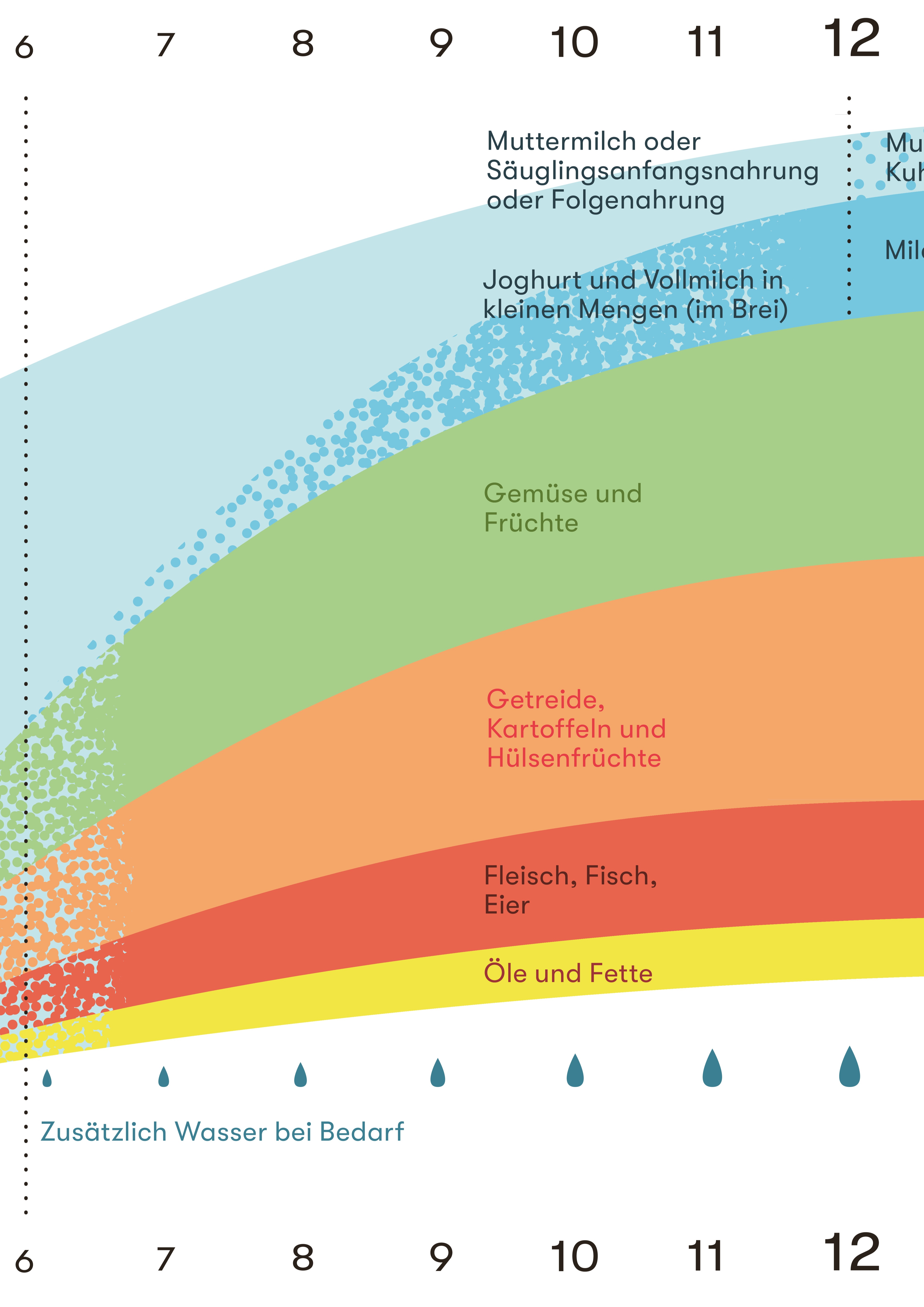 Schema zur Einführung der Lebensmittel (Beikost) bild