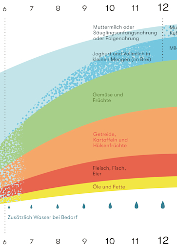 Schema zur Einführung der Lebensmittel (Beikost) bild