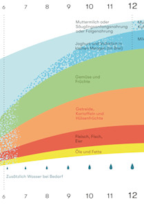 Introducing foods to babies