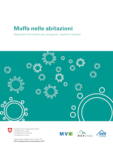 Titelbild ital schimmel web