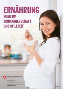 Ernährung rund um Schwangerschaft und Stillzeit (Kurzfassung)