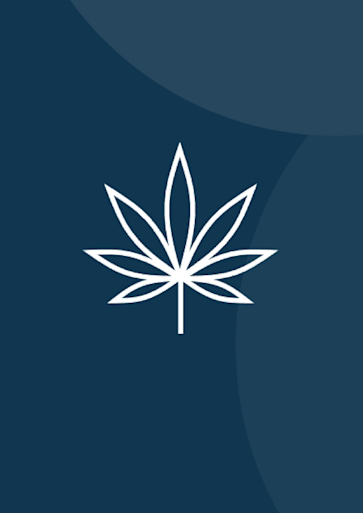 Titelbild Cannabis und Schadensminderung