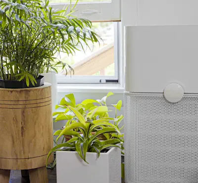 best way to get cigarette smell out of apartment 5 Ways Rid the Smoke in House How to Get Rid of