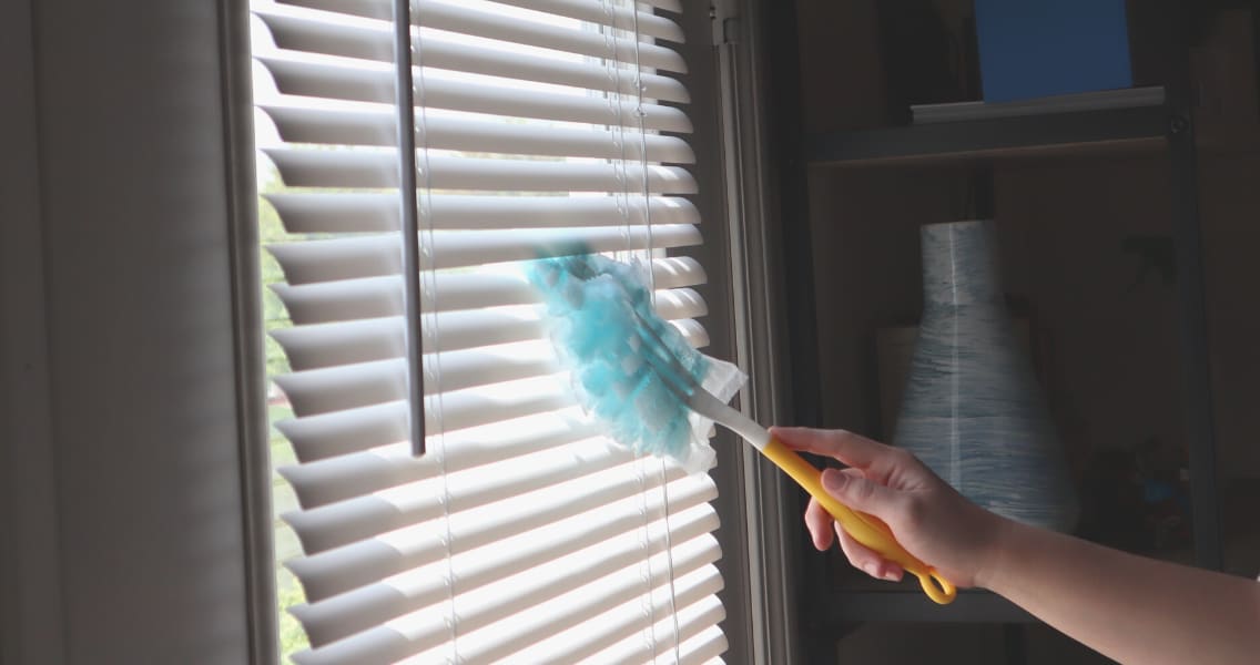 blinds plastic