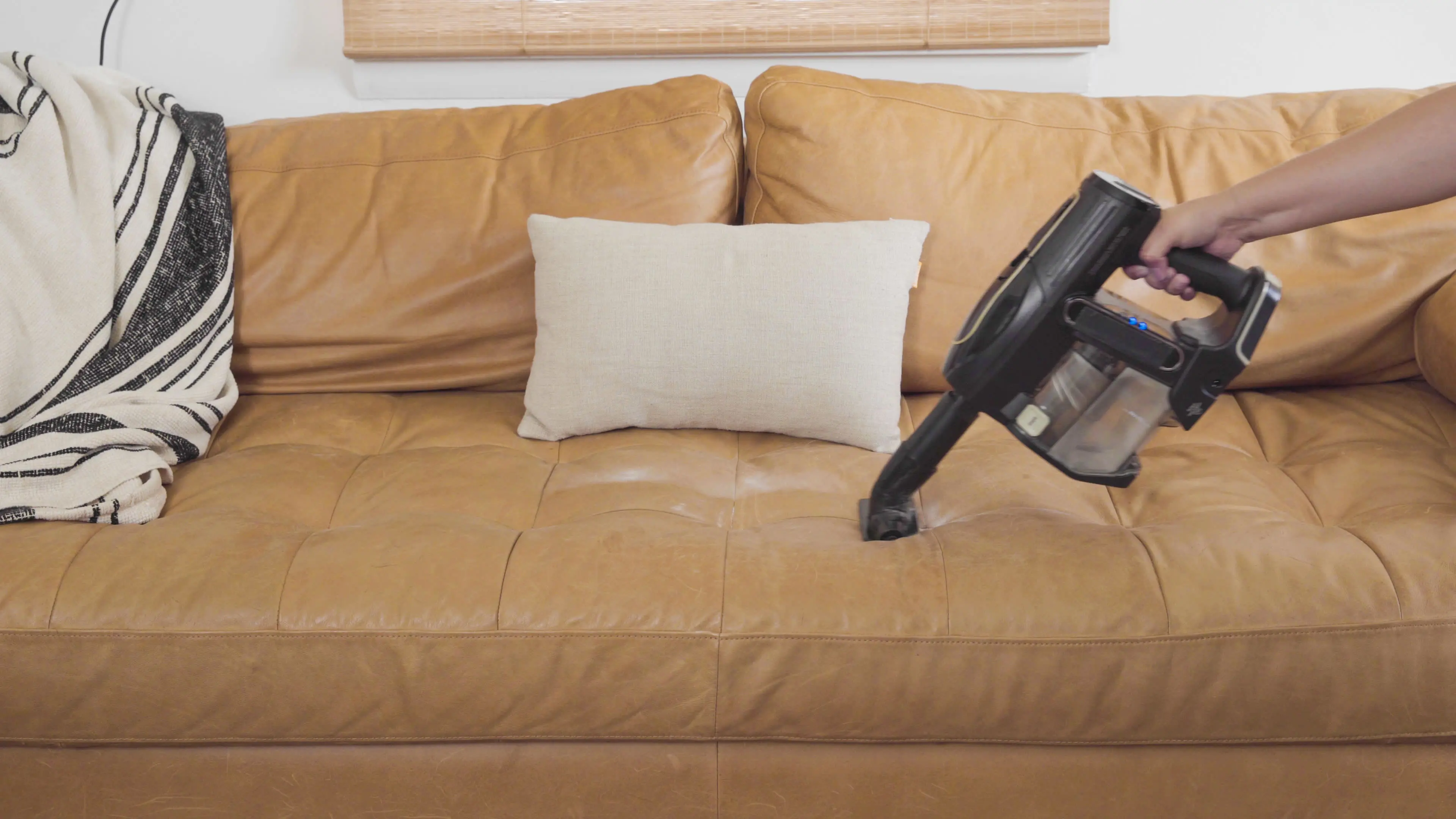 Vacuuming Couch to Remove Pet Dander and Fur