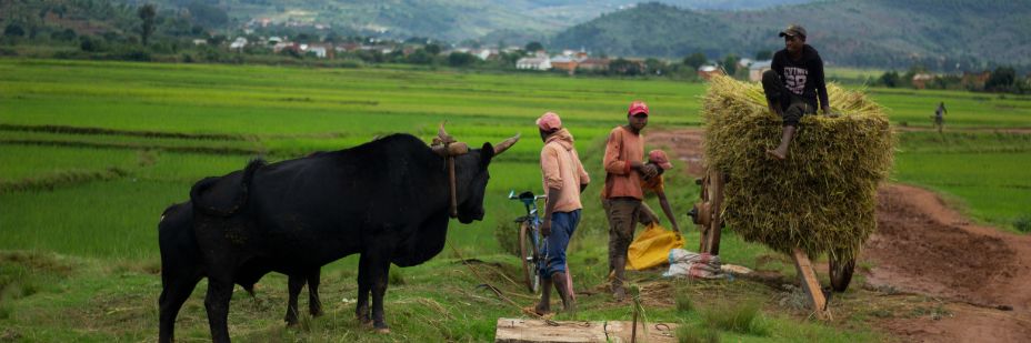 Climate Change Lessons InPost 5