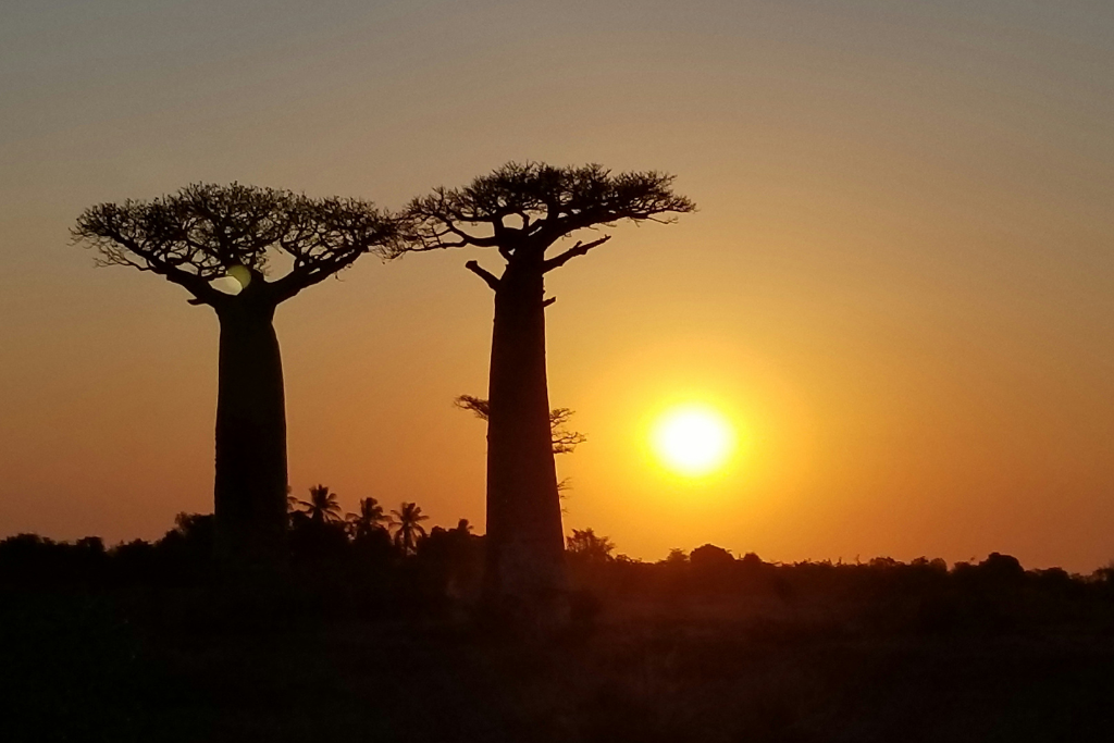 Climate Change Lessons Featured