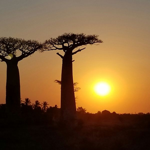 Climate Change Lessons Featured