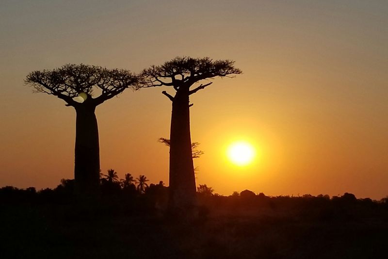 Lehren zum Klimawandel Featured